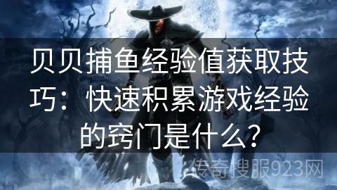 贝贝捕鱼经验值获取技巧：快速积累游戏经验的窍门是什么？