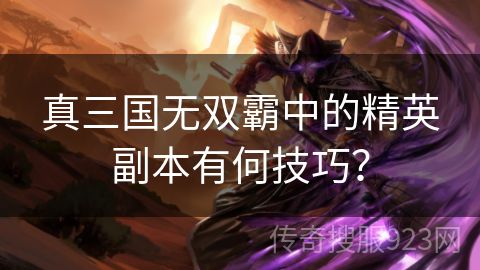 真三国无双霸中的精英副本有何技巧？