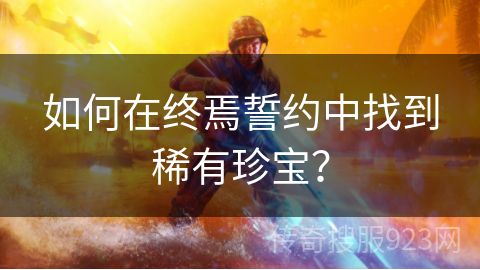 如何在终焉誓约中找到稀有珍宝？