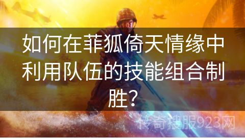 如何在菲狐倚天情缘中利用队伍的技能组合制胜？