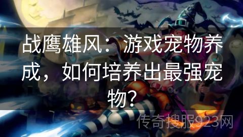 战鹰雄风：游戏宠物养成，如何培养出最强宠物？