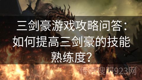 三剑豪游戏攻略问答：如何提高三剑豪的技能熟练度？