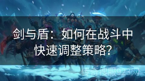 剑与盾：如何在战斗中快速调整策略？