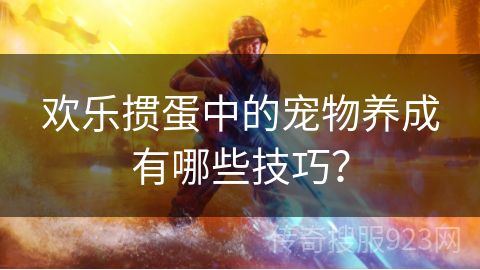 欢乐掼蛋中的宠物养成有哪些技巧？