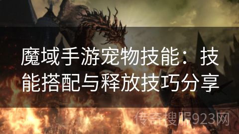 魔域手游宠物技能：技能搭配与释放技巧分享