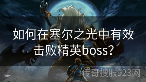 如何在塞尔之光中有效击败精英boss？