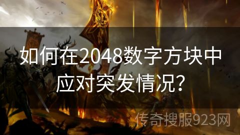 如何在2048数字方块中应对突发情况？