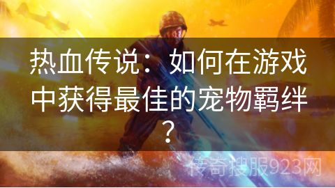 热血传说：如何在游戏中获得最佳的宠物羁绊？