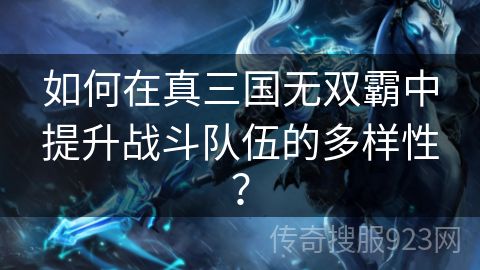 如何在真三国无双霸中提升战斗队伍的多样性？