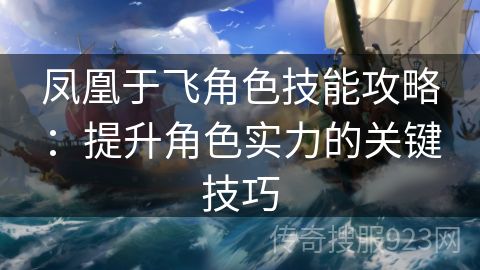 凤凰于飞角色技能攻略：提升角色实力的关键技巧