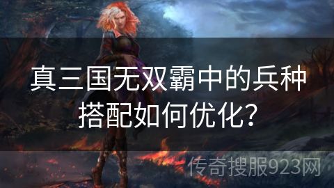 真三国无双霸中的兵种搭配如何优化？