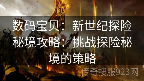 数码宝贝：新世纪探险秘境攻略：挑战探险秘境的策略