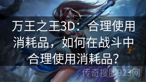 万王之王3D：合理使用消耗品，如何在战斗中合理使用消耗品？