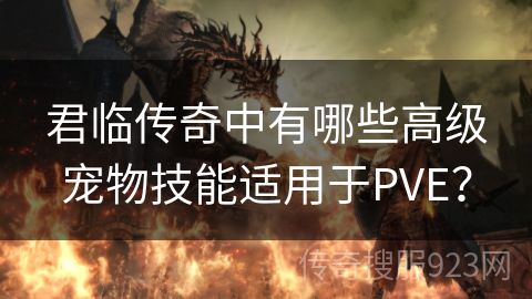 君临传奇中有哪些高级宠物技能适用于PVE？