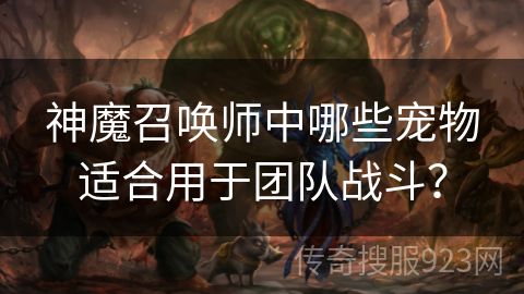 神魔召唤师中哪些宠物适合用于团队战斗？