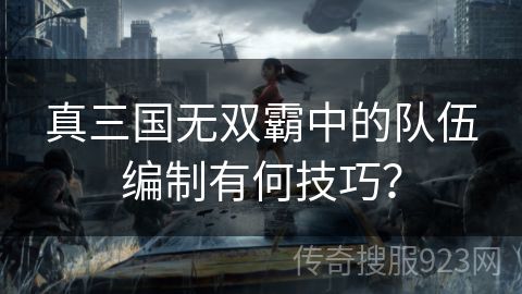 真三国无双霸中的队伍编制有何技巧？