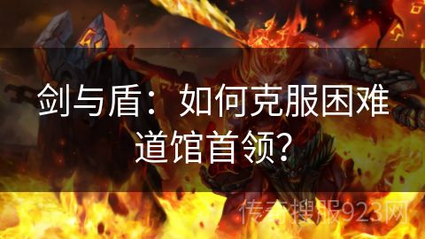 剑与盾：如何克服困难道馆首领？