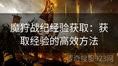 魔狩战纪经验获取：获取经验的高效方法