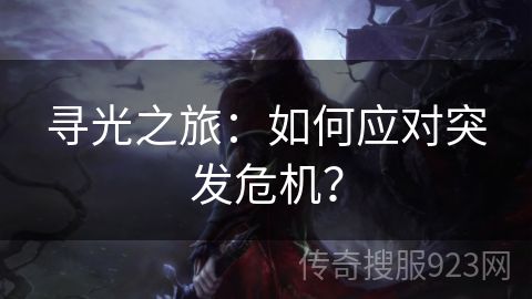 寻光之旅：如何应对突发危机？