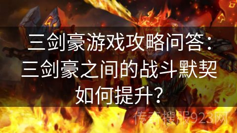 三剑豪游戏攻略问答：三剑豪之间的战斗默契如何提升？