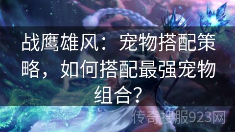 战鹰雄风：宠物搭配策略，如何搭配最强宠物组合？