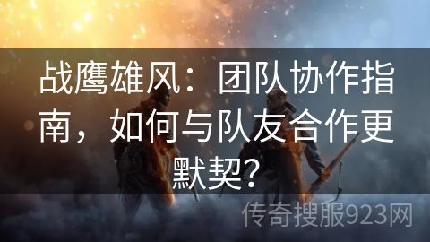 战鹰雄风：团队协作指南，如何与队友合作更默契？