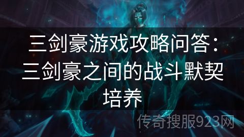 三剑豪游戏攻略问答：三剑豪之间的战斗默契培养