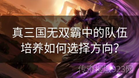 真三国无双霸中的队伍培养如何选择方向？