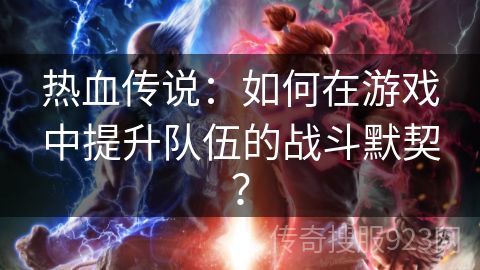 热血传说：如何在游戏中提升队伍的战斗默契？