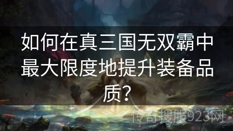 如何在真三国无双霸中最大限度地提升装备品质？