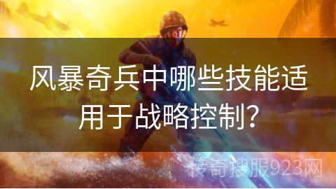 风暴奇兵中哪些技能适用于战略控制？