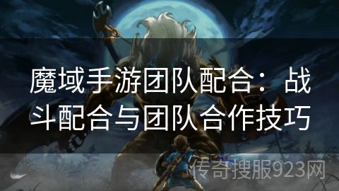 魔域手游团队配合：战斗配合与团队合作技巧