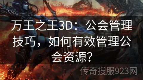 万王之王3D：公会管理技巧，如何有效管理公会资源？