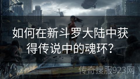 如何在新斗罗大陆中获得传说中的魂环？